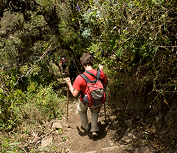 Tourists in the Sanctuary of Machu Picchu